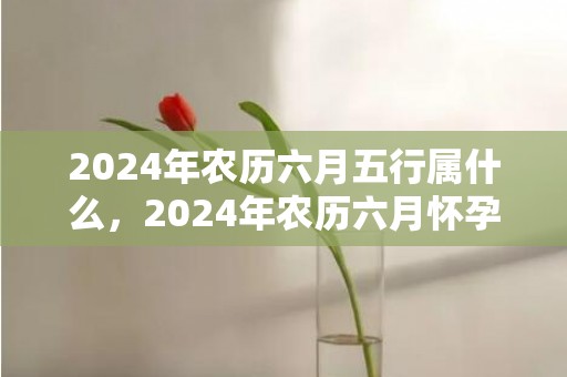 2024年农历六月五行属什么，2024年农历六月怀孕要几月生