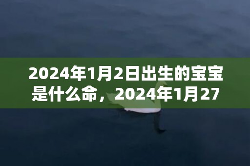 2024年1月2日出生的宝宝是什么命，2024年1月27日出生女宝宝起名