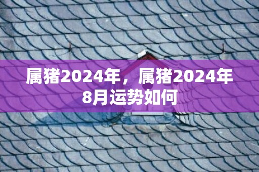 属猪2024年，属猪2024年8月运势如何