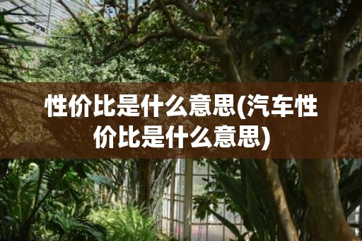 性价比是什么意思(汽车性价比是什么意思)