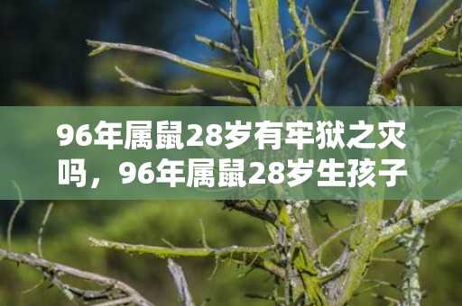 96年属鼠28岁有牢狱之灾吗，96年属鼠28岁生孩子好吗