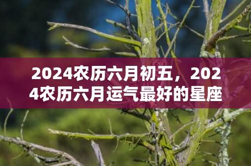 2024农历六月初五，2024农历六月运气最好的星座