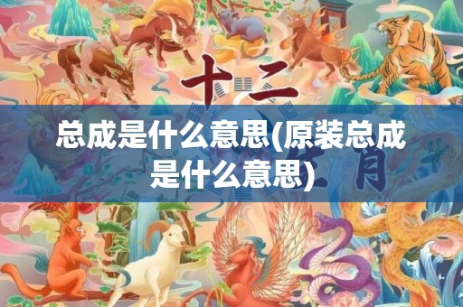 总成是什么意思(原装总成是什么意思)