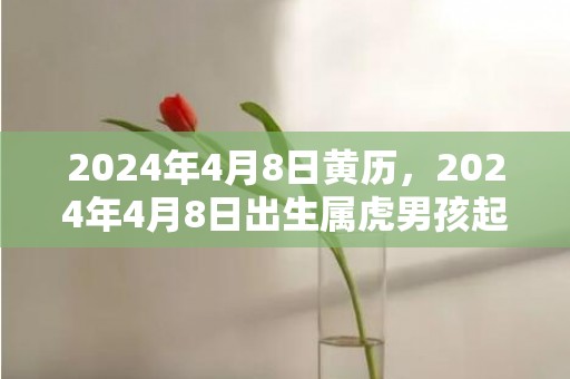 2024年4月8日黄历，2024年4月8日出生属虎男孩起名