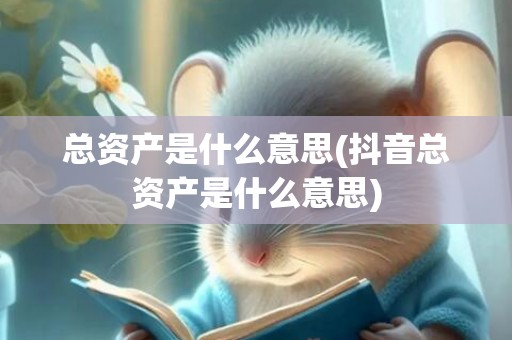总资产是什么意思(抖音总资产是什么意思)