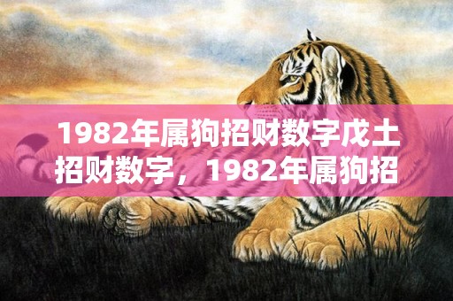 1982年属狗招财数字戊土招财数字，1982年属狗招财数字
