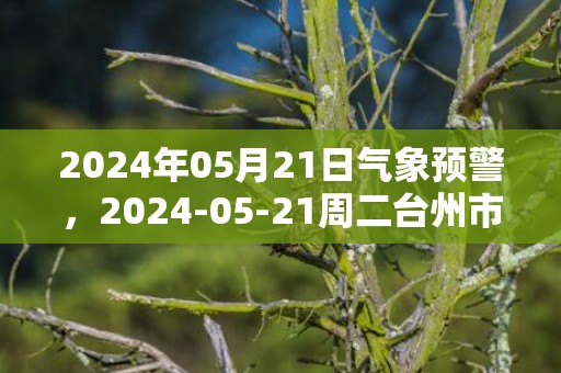 2024年05月21日气象预警，2024-05-21周二台州市天气预报 大部小到中雨转小雨