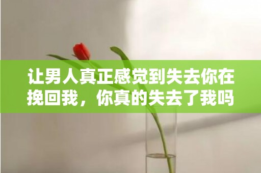 让男人真正感觉到失去你在挽回我，你真的失去了我吗？快挽回我