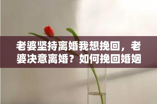老婆坚持离婚我想挽回，老婆决意离婚？如何挽回婚姻！