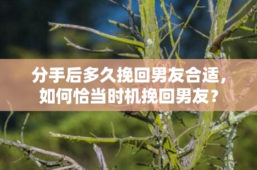 分手后多久挽回男友合适，如何恰当时机挽回男友？