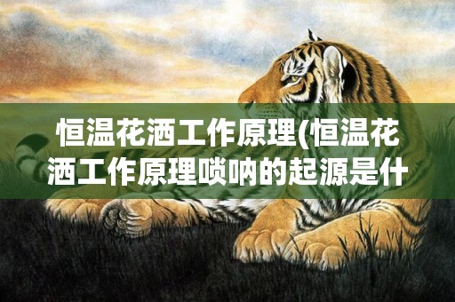 恒温花洒工作原理(恒温花洒工作原理唢呐的起源是什么)