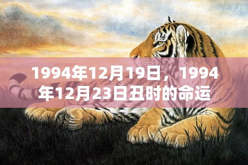 1994年12月19日，1994年12月23日丑时的命运