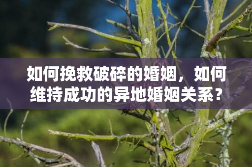 如何挽救破碎的婚姻，如何维持成功的异地婚姻关系？