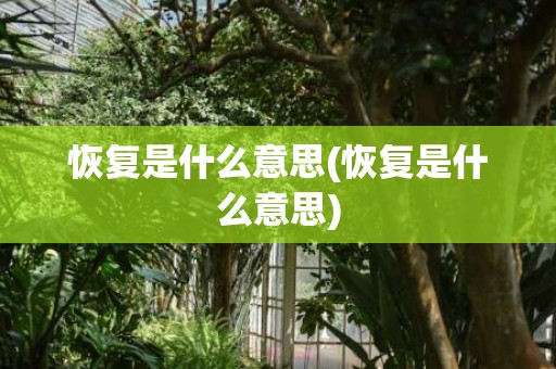 恢复是什么意思(恢复是什么意思)