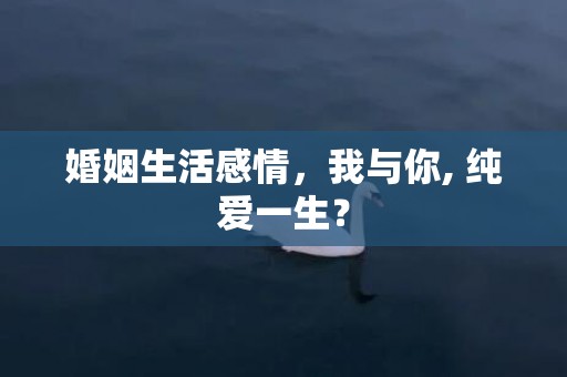 婚姻生活感情，我与你, 纯爱一生？