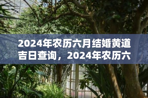 2024年农历六月结婚黄道吉日查询，2024年农历六月三十是理发吉日不