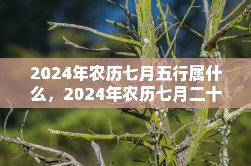 2024年农历七月五行属什么，2024年农历七月二十一适宜订婚吗