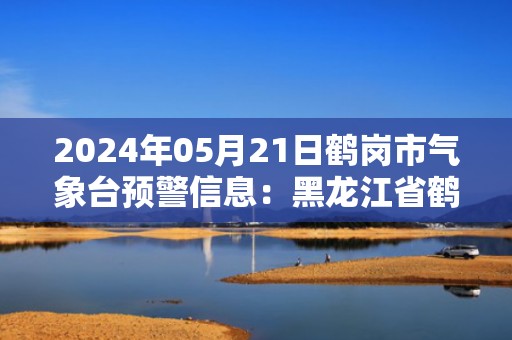 2024年05月21日鹤岗市气象台预警信息：黑龙江省鹤岗市发布大风蓝色预警