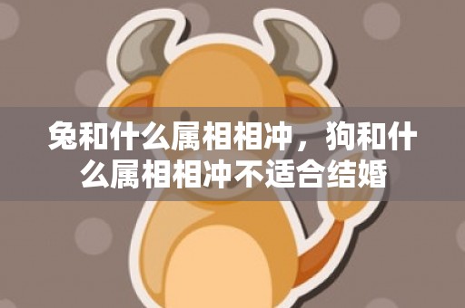 兔和什么属相相冲，狗和什么属相相冲不适合结婚