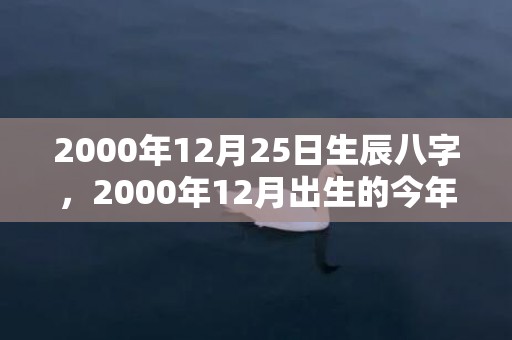 2000年12月25日生辰八字，2000年12月出生的今年几岁