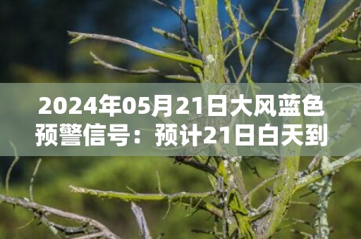 2024年05月21日大风蓝色预警信号：预计21日白天到夜间，沈阳市和平区、沈河区、铁西区、皇姑区、大东区、于洪区，沈抚示范区偏南风4到5级，阵风7到8级，请注意出行安全，加固临时搭建物，防范高空坠物等风险。沈阳市气象台预警信息：辽宁省沈阳市发布大风蓝色预警