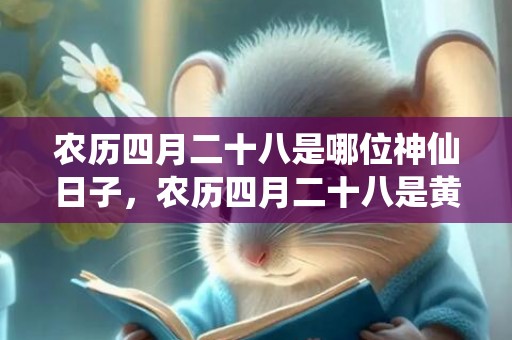 农历四月二十八是哪位神仙日子，农历四月二十八是黄道吉日吗