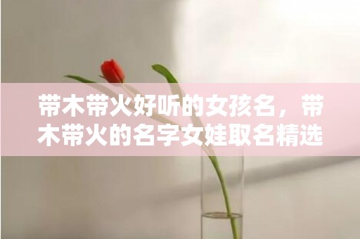 带木带火好听的女孩名，带木带火的名字女娃取名精选