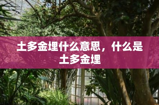 土多金埋什么意思，什么是土多金埋