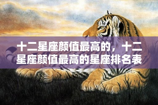 十二星座颜值最高的，十二星座颜值最高的星座排名表