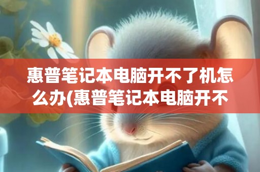 惠普笔记本电脑开不了机怎么办(惠普笔记本电脑开不了机怎么办)