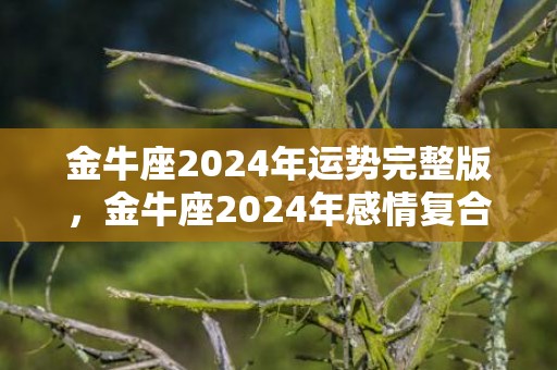 金牛座2024年运势完整版，金牛座2024年感情复合运势