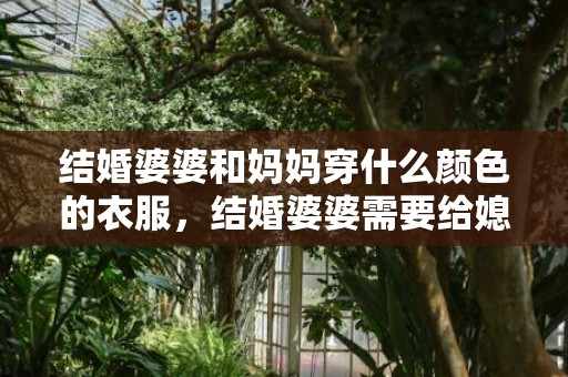结婚婆婆和妈妈穿什么颜色的衣服，结婚婆婆需要给媳妇准备多少红包