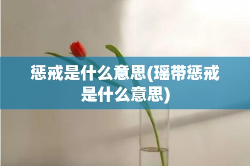 惩戒是什么意思(瑶带惩戒是什么意思)