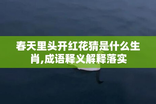 春天里头开红花猜是什么生肖,成语释义解释落实