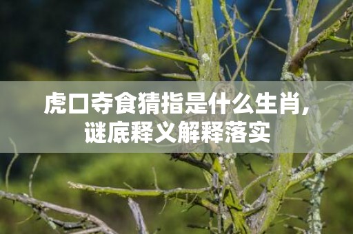 虎口夺食猜指是什么生肖,谜底释义解释落实