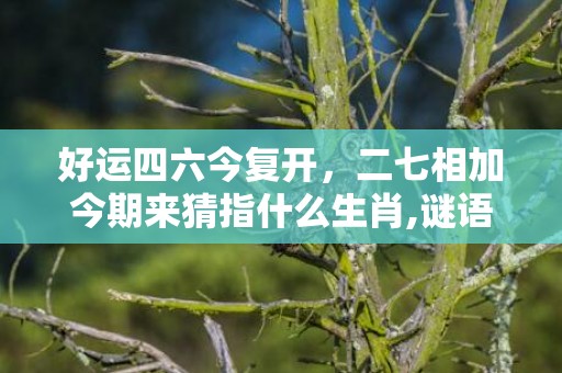 好运四六今复开，二七相加今期来猜指什么生肖,谜语释义解释落实
