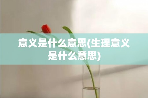 意义是什么意思(生理意义是什么意思)