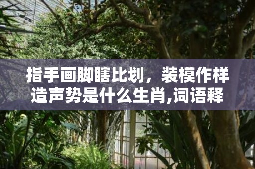 指手画脚瞎比划，装模作样造声势是什么生肖,词语释义解析落实