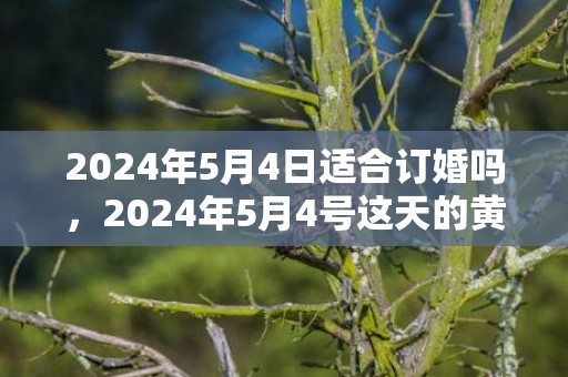 2024年5月4日适合订婚吗，2024年5月4号这天的黄历好吗