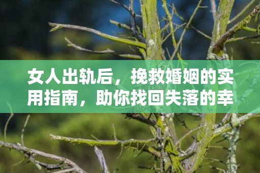 女人出轨后，挽救婚姻的实用指南，助你找回失落的幸福