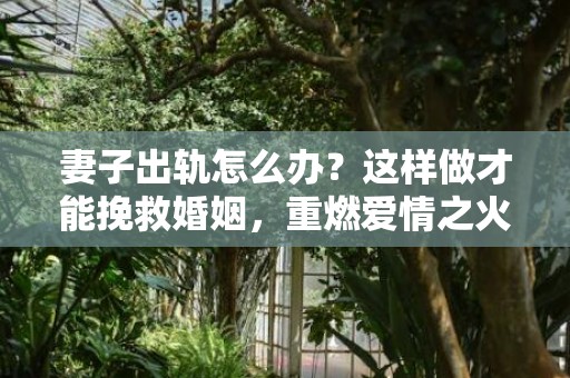 妻子出轨怎么办？这样做才能挽救婚姻，重燃爱情之火