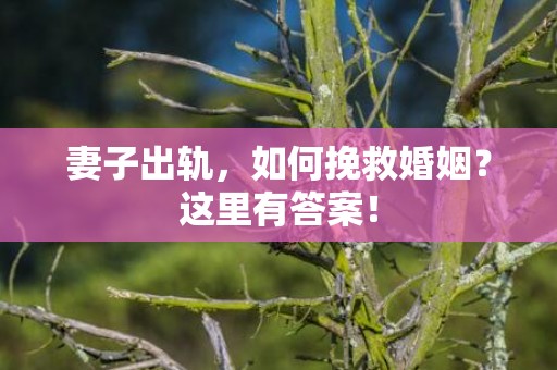 妻子出轨，如何挽救婚姻？这里有答案！