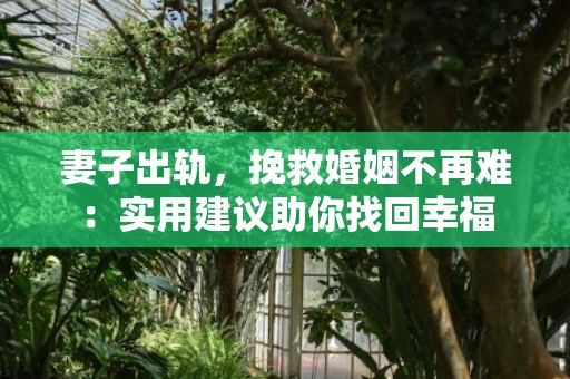 妻子出轨，挽救婚姻不再难：实用建议助你找回幸福