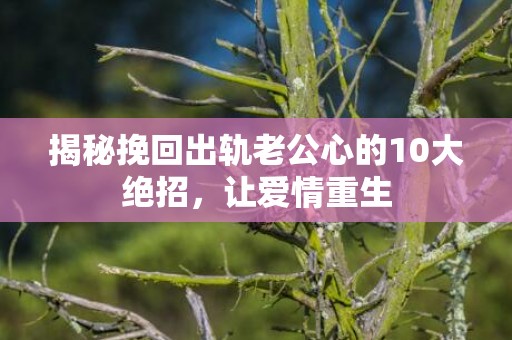 揭秘挽回出轨老公心的10大绝招，让爱情重生