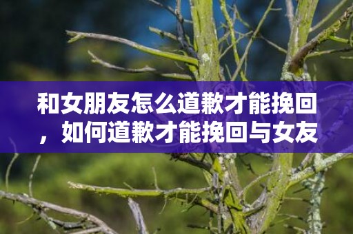 和女朋友怎么道歉才能挽回，如何道歉才能挽回与女友的关系？