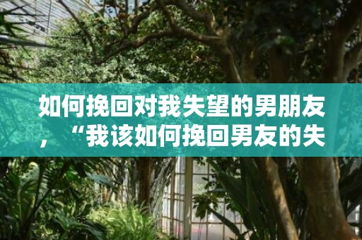 如何挽回对我失望的男朋友，“我该如何挽回男友的失望？！”