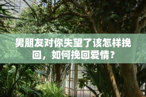 男朋友对你失望了该怎样挽回，如何挽回爱情？