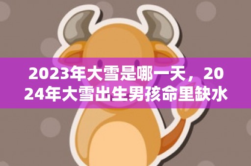 2023年大雪是哪一天，2024年大雪出生男孩命里缺水起什么名字好