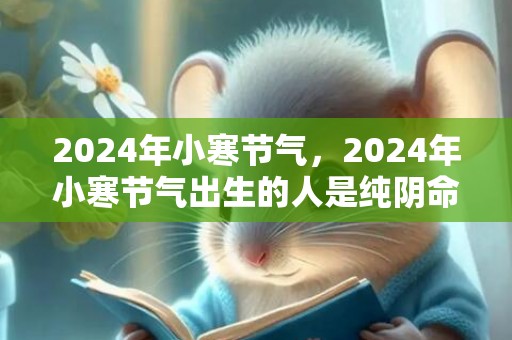 2024年小寒节气，2024年小寒节气出生的人是纯阴命吗