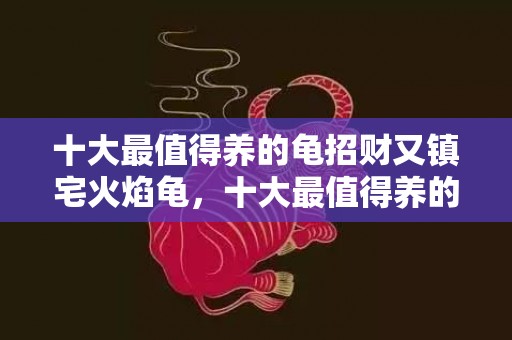 十大最值得养的龟招财又镇宅火焰龟，十大最值得养的龟招财又镇宅